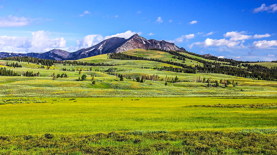 Green grass field near mountain under blue sky during daytime ...