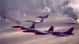 military, military aircraft, jet fighter, Operation Desert Storm HD wallpaper