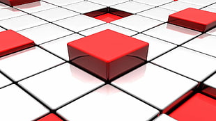 red and white checkered board HD wallpaper