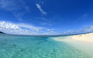 photo of clear blue sea during daytime HD wallpaper