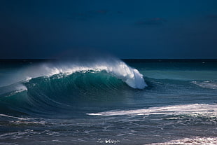 sea wave, nature, landscape