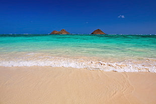 seashore, landscape, beach, tropical