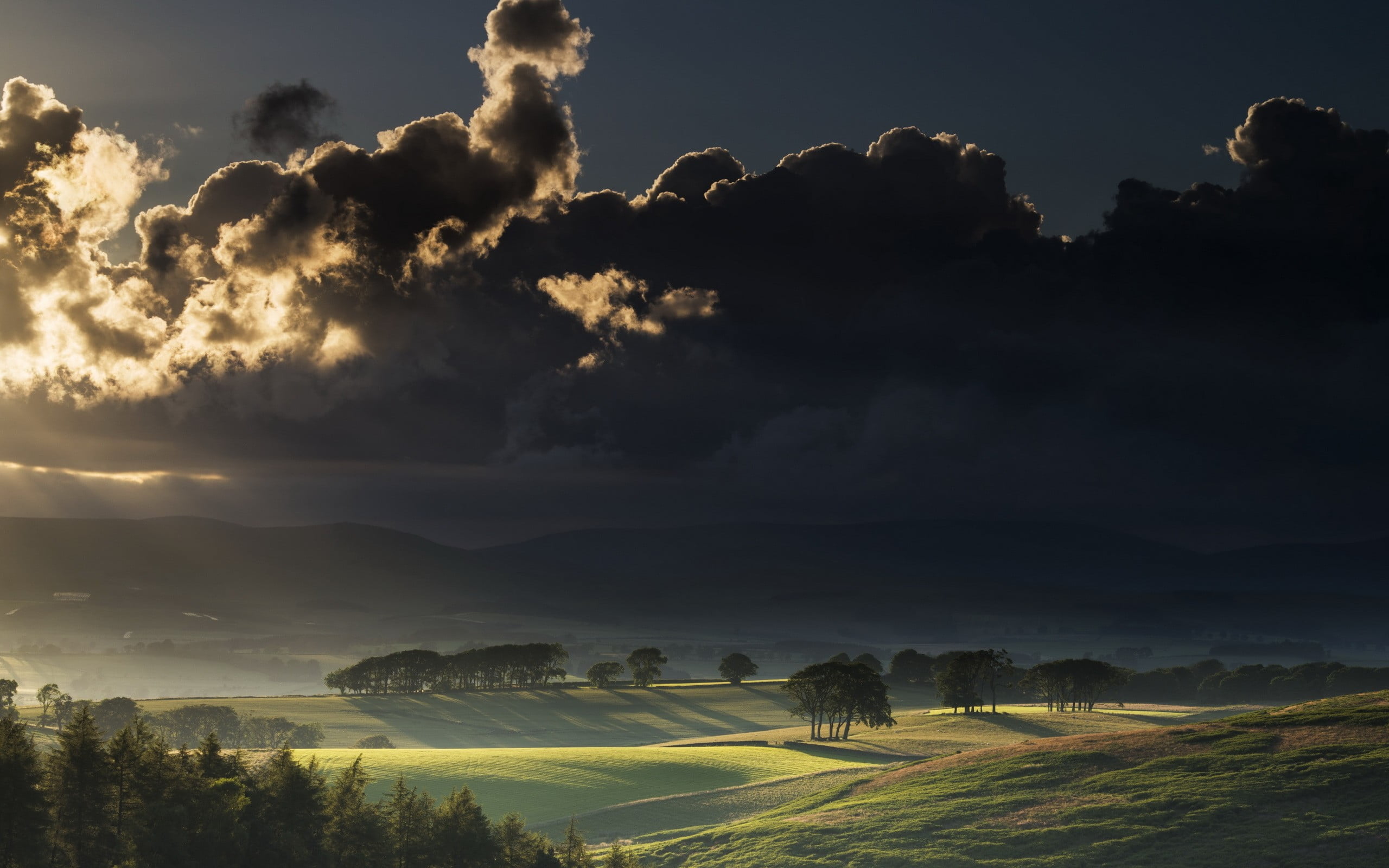 horizon photo, nature, landscape, plains, sun rays