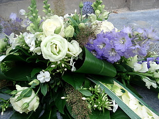 white and purple petaled flowers