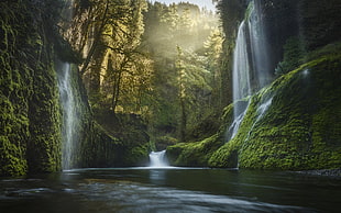 scenery of waterfalls during daytime