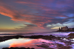 seashore during daytime, cronulla