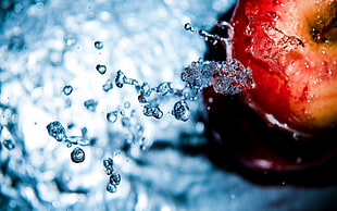 silver-colored diamond studded ring, water, apples, water drops, macro