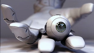 round gray robotic eye HD wallpaper