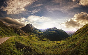 brown and black fish with fish tank, mountains, nature, clouds, road