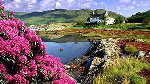 white house, lake and flowers painting