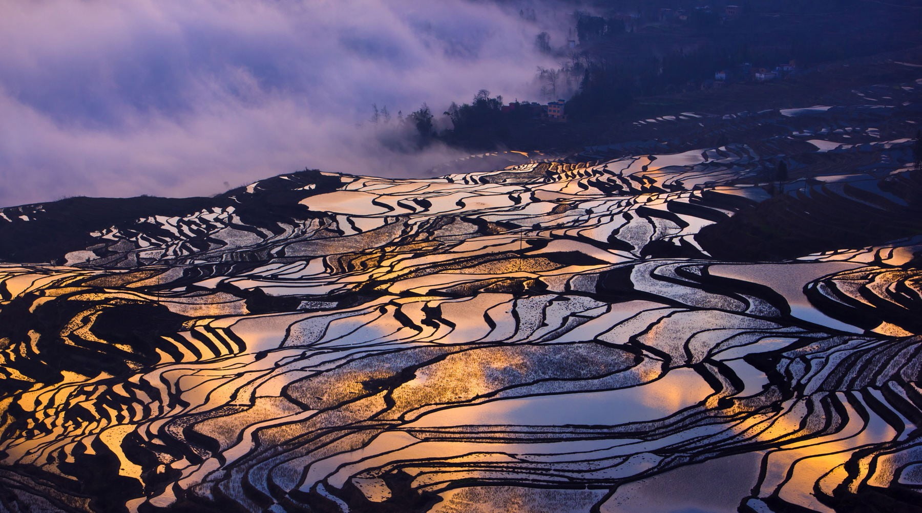 blue and white floral textile, terraced field, rice paddy