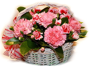 basket of pink petaled flowers HD wallpaper