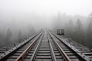 train rail and fog photo HD wallpaper