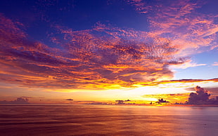 orange clouds at golden hour HD wallpaper