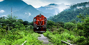 photo of steam locomotive train near trees toward railway during day time