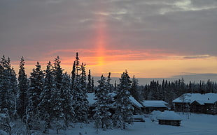 houses with snow in forest during sunset