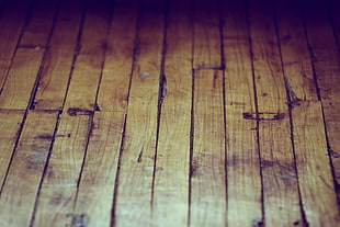 brown floor, wood
