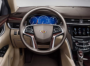 gray and black Cadillac multifunction steering wheel
