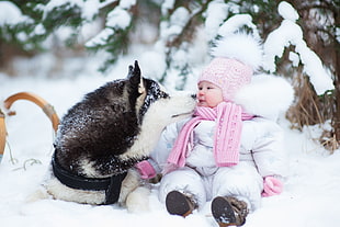 baby in pink scarf and beanie hat near black dog on snow HD wallpaper