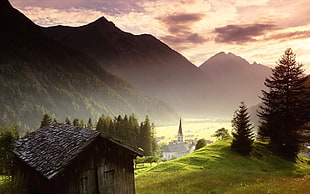 green trees, nature, landscape, hut, church