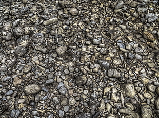 gray stone fragments HD wallpaper