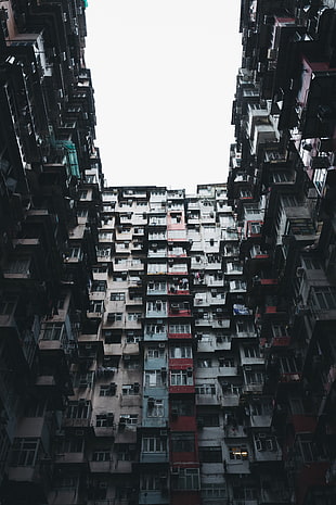 low-angle photography of high-rise building, Hong Kong, building, Alessio Lin HD wallpaper