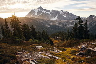 snowcap mountains surrounded by pine trees