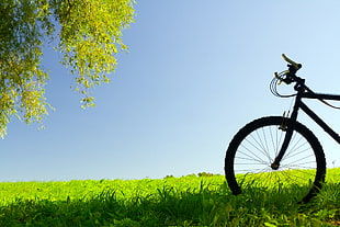 black bicycle on green grassland during daytime HD wallpaper