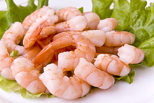 shrimp on plate HD wallpaper
