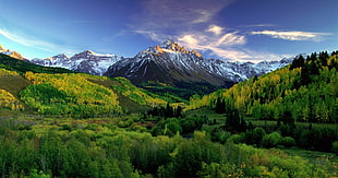 top view of forest and mountains, mountains, forest, clouds, green