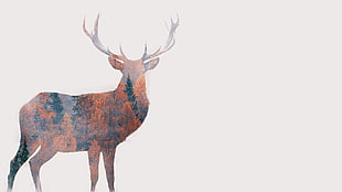 brown and black deer deer HD wallpaper