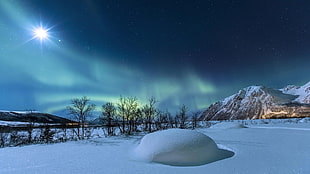 northern lights, nature, landscape, Norway, mountains HD wallpaper
