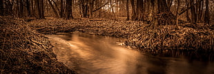 sepia photo of a creek HD wallpaper