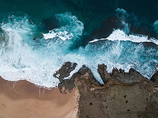 ocean waves, nature, water, beach