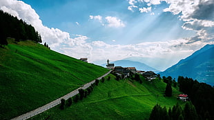 green grass field, landscape