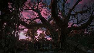 bare tree illustration, The Witcher 3: Wild Hunt, Geralt of Rivia, Yennefer of Vengerberg, garden