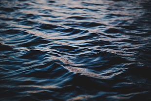 shallow focus body of water