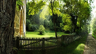 brown wooden fence, architecture, building, nature, landscape HD wallpaper