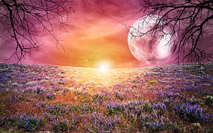 green plant with flowers, landscape, fantasy art, digital art, Moon HD wallpaper