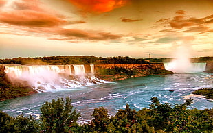 white and brown trees painting, waterfall, Niagara Falls HD wallpaper