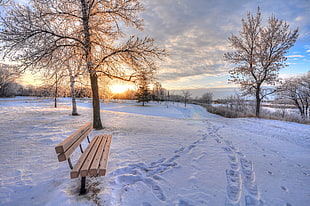 brown wooden bench snow weather HD wallpaper