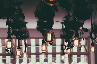 incandescent light bulb lot HD wallpaper