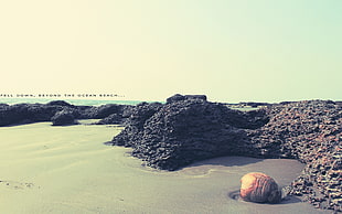landscape photography of seashore with black rocks on side HD wallpaper