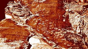 brown rock formation