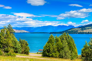 green trees near blue waters by the mountains, montana HD wallpaper