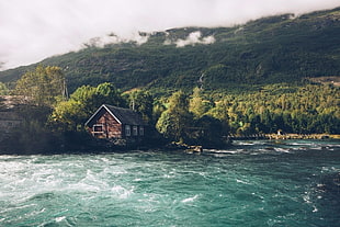 brown and gray house, nature, forest, water, mountains