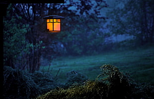 Lantern on green mountain during night time HD wallpaper