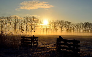 golden hour photography