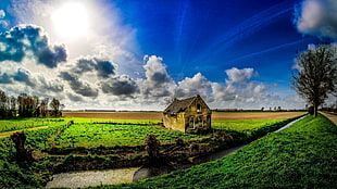 yellow and green concrete house, clouds, sky, Sun, house