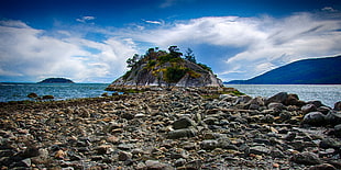 brown and black rock formation